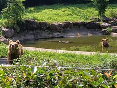 -宁波野生动物园