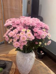 -花隐瑜伽·普拉提·红绳