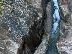 -广州白江湖森林公园