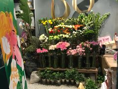 -BOBLOOM花店(宝龙旭辉广场店)