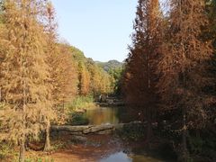 -云溪植物园