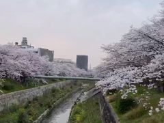 -名古屋城