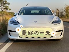-TESLA 特斯拉(郑州正弘城体验店)