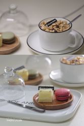 -紫御国际抗衰ZOE ANTI AGING