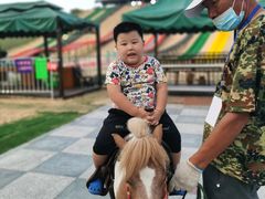 -北戴河圣蓝海洋公园