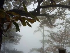 -塔云山