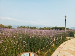 -深圳湾公园(南山区)