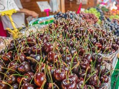 -港华水果街(港华广场店)