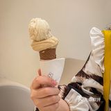 吃N遍都不腻的冰淇淋🍦冰淇淋届的爱马仕‼️