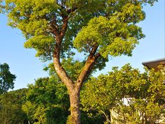 -东钱湖旅游度假区