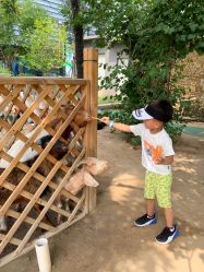 -萌宠亲子动物乐园(槐房万达店)