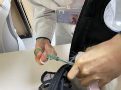 -谐和贝康宠物医院24小时·宠保定点(急重症转诊中心)