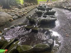 -成都市活水公园