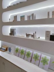 -薇薇安花系SPA