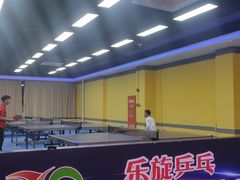 -乐旋乒乓球(广州西湾路店)