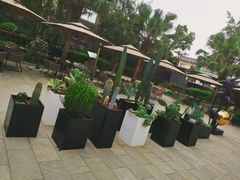 -成都许燎源现代设计艺术博物馆