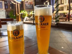 -天津普拉那啤酒坊(意风区店)
