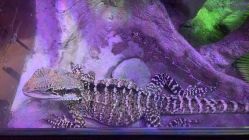 -酷嗒动物文化乐园(cutezoo西溪乐天城店)