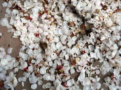 -长春公园(普阳街道)