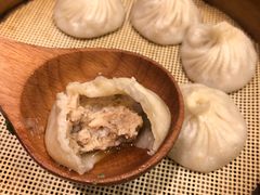鲜肉小笼汤包-一品小笼(金融街店)
