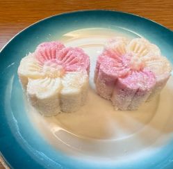 -金芙美月子中心(财富别墅店)