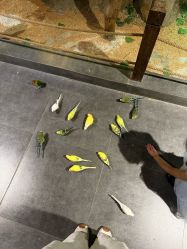 -酷嗒动物文化乐园(cutezoo西溪乐天城店)