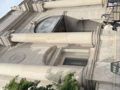 -美国自然历史博物馆