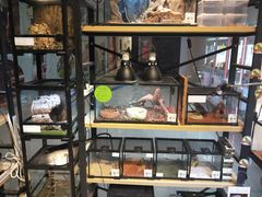 -乌龙爬宠部落(信和购物广场店)