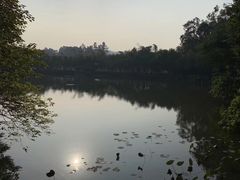 -老木棉·匠园