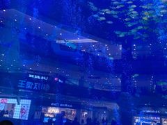 -成都浩海立方海洋公园