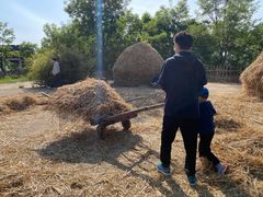 -白鹿原影视城