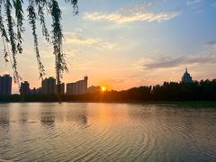 -莲花池公园