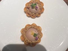 -觀芷隐轩