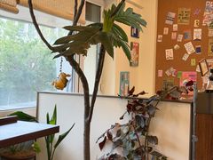 -阿九笨鸡蛋手擀面(总店)