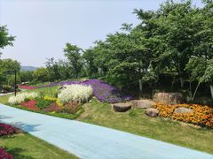 -径山花海