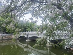 -乌镇景区