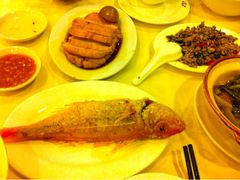 红杉鱼-深运潮州粥(水库店)