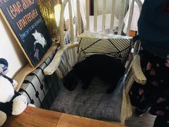 -海边的猫和咖啡馆