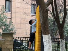 -杭州半山国家森林公园