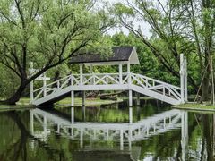 -上海共青森林公园