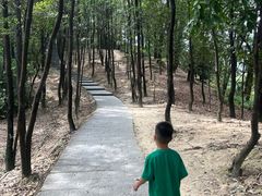 -火炉山森林公园