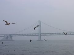 -星海广场