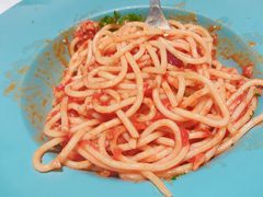 番茄意面-Bco豆库(星耀天地店)