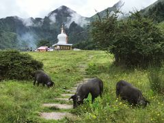 -硗碛藏寨·神木垒景区