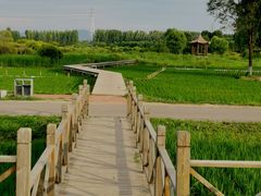 -野鸭湖国家湿地公园