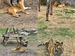 -济南野生动物世界