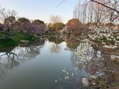 -无锡梅园公园