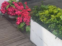 -MIO弥欧洋房西餐厅(中央大街店)