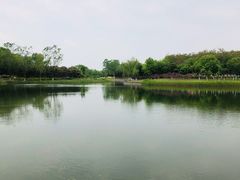 -大兴滨河森林公园