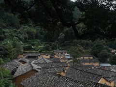 -杨家堂村
